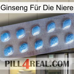 Ginseng Für Die Niere viagra3